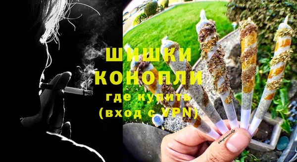ПСИЛОЦИБИНОВЫЕ ГРИБЫ Карпинск