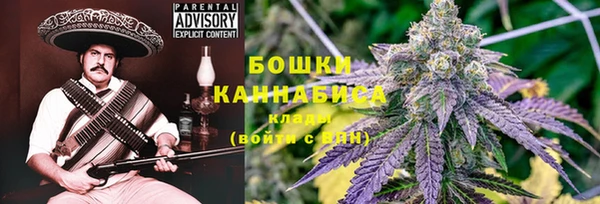 ПСИЛОЦИБИНОВЫЕ ГРИБЫ Карпинск