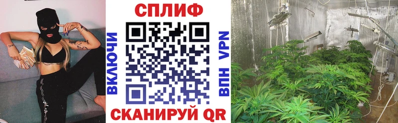 Купить  Кинешма  Канабис марихуана 